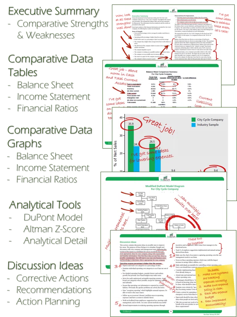 BizBench Report Content Graphic